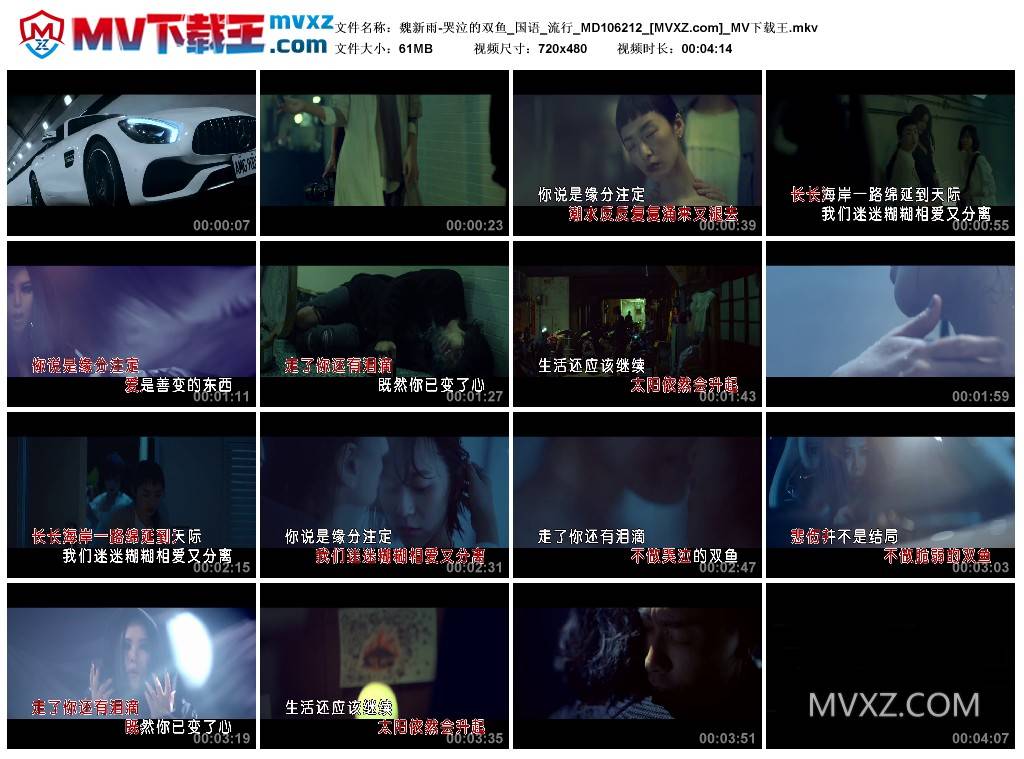 魏新雨-哭泣的双鱼_国语_流行_MD106212